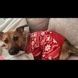 Meet your Posher, Ava